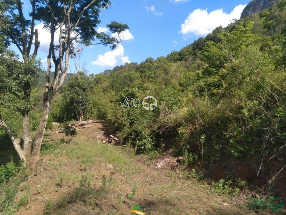 Sítio à venda com 2 quartos, 58000m² - Foto 6