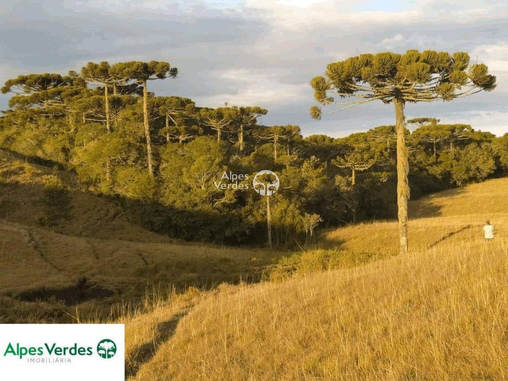 Sítio à venda, 50000m² - Foto 3