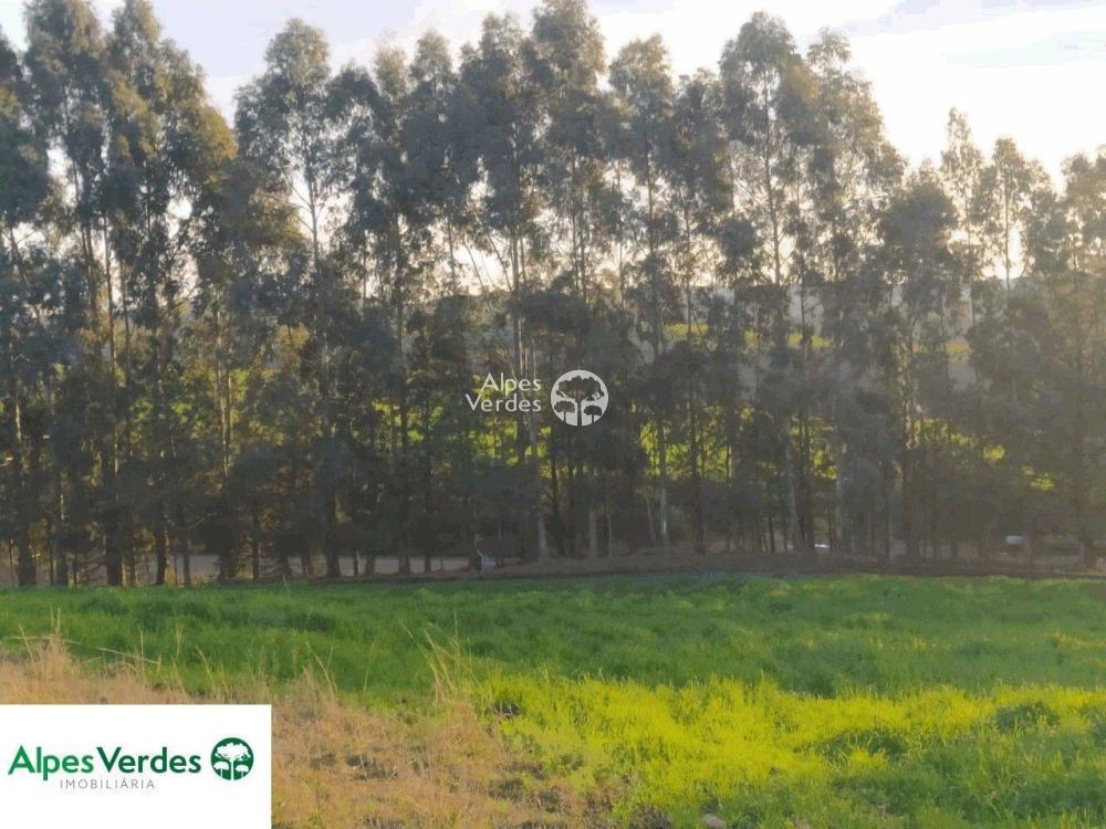 Sítio à venda, 50000m² - Foto 15