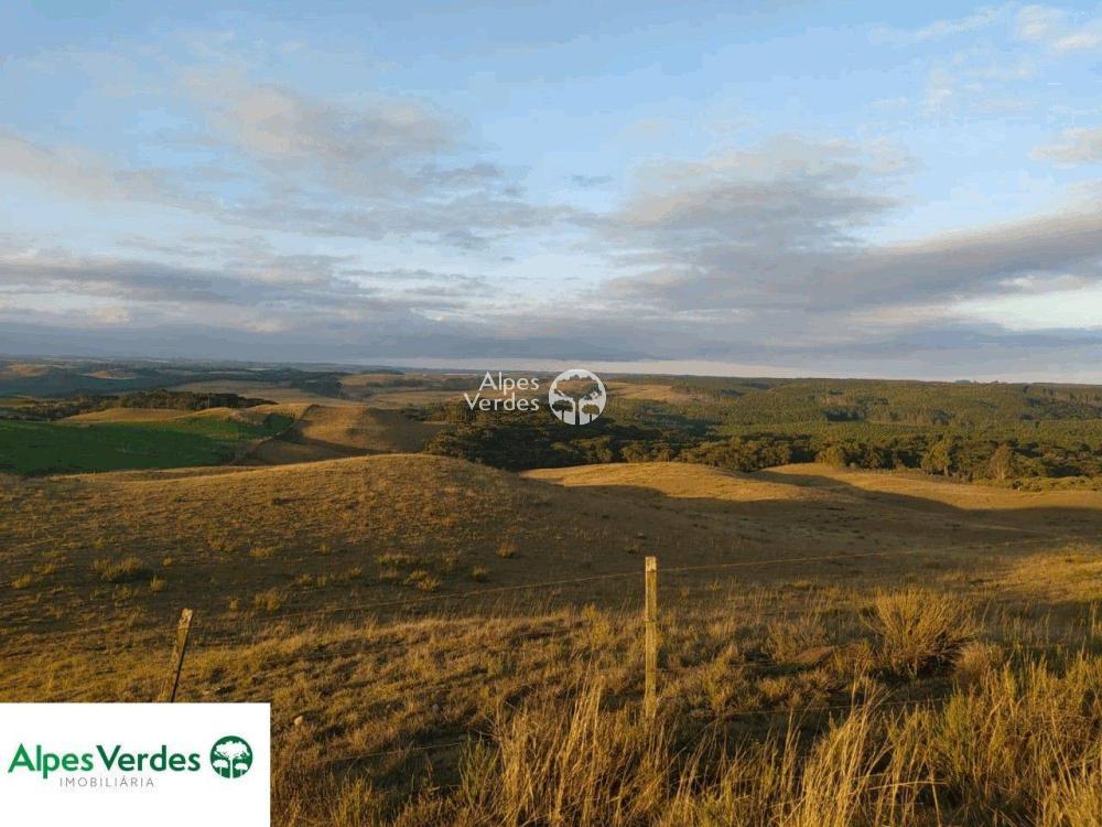 Sítio à venda, 50000m² - Foto 27