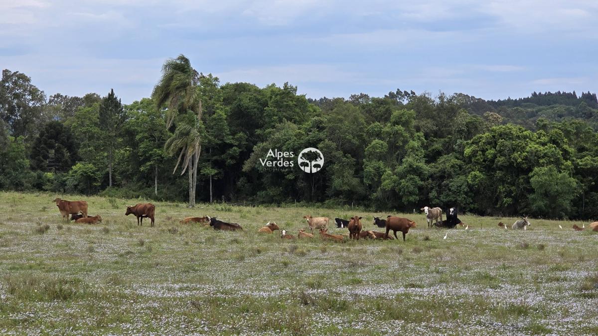 Terreno à venda, 156858000m² - Foto 14