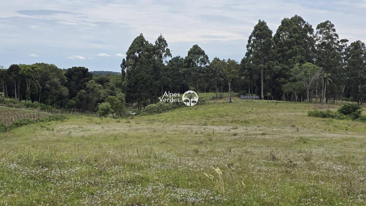 Terreno à venda, 156858000m² - Foto 16