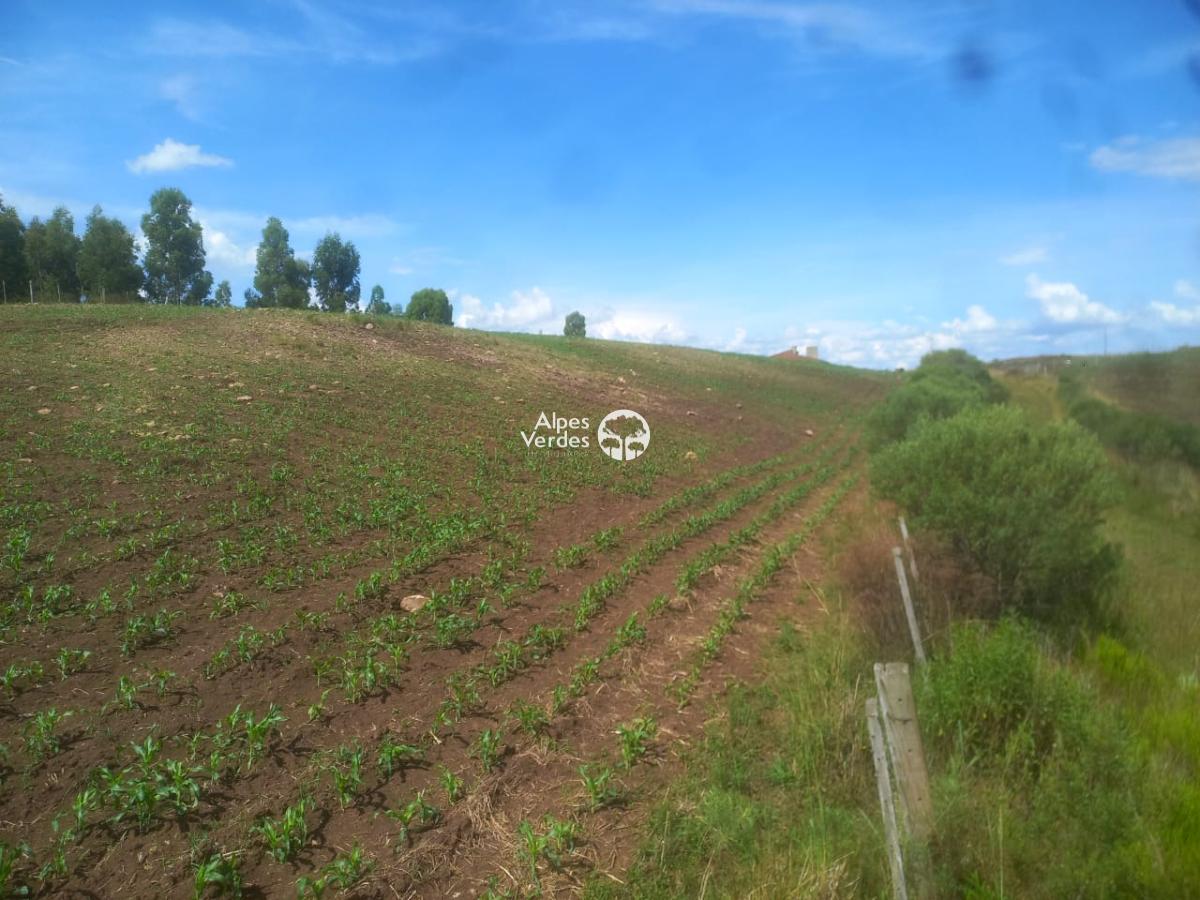 Terreno à venda - Foto 6