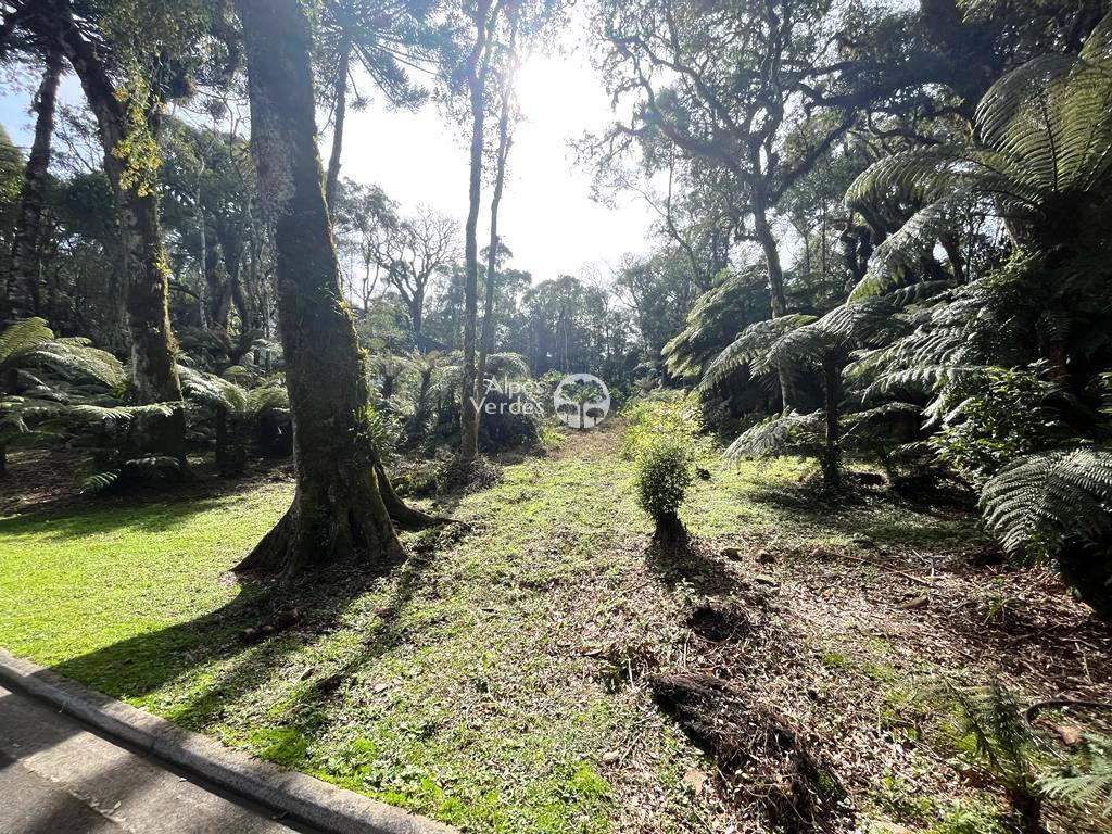 Lote em Condomínio, à venda, Centro