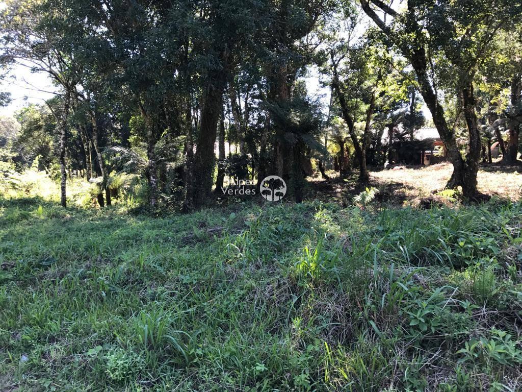 Terreno à venda, 688m² - Foto 8