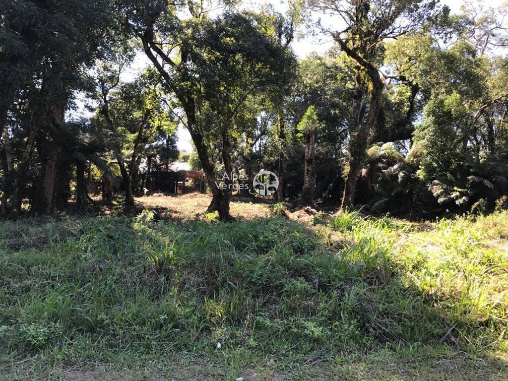 Terreno à venda, 688m² - Foto 10