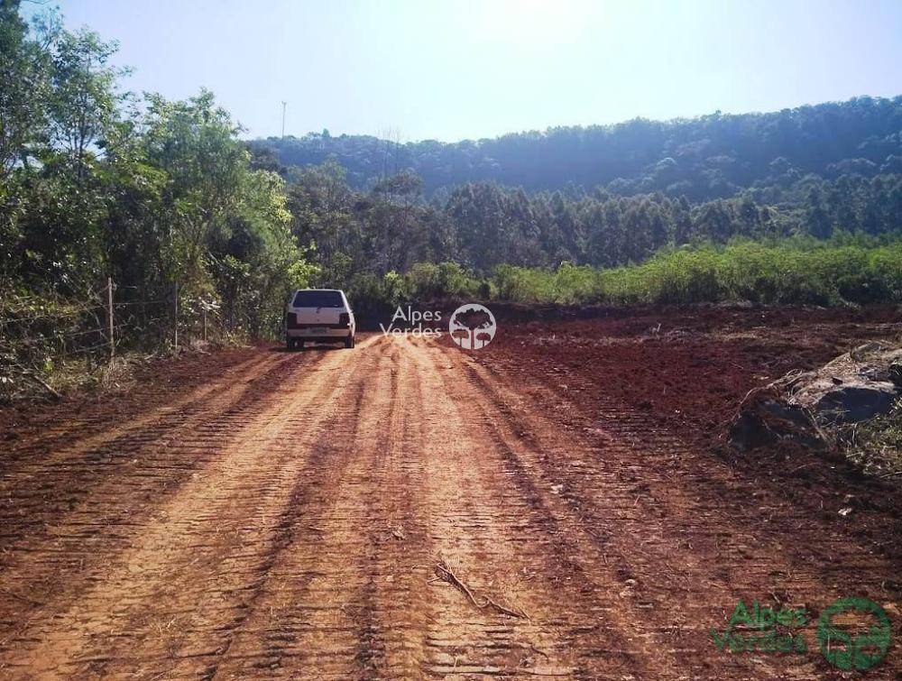 Terreno à venda - Foto 13