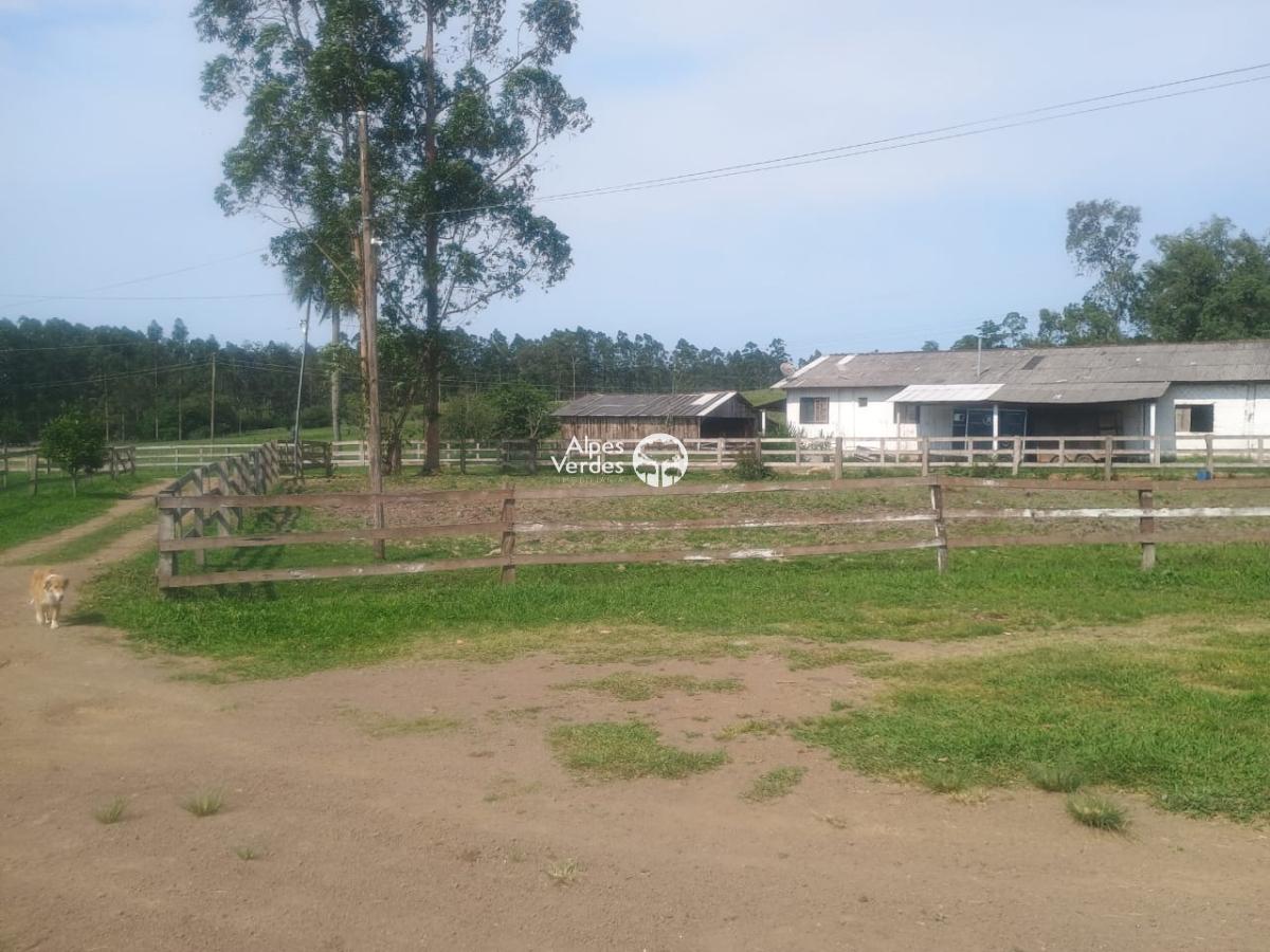 Sítio à venda com 2 quartos - Foto 3