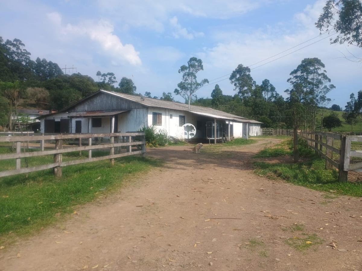 Sítio à venda com 2 quartos - Foto 6