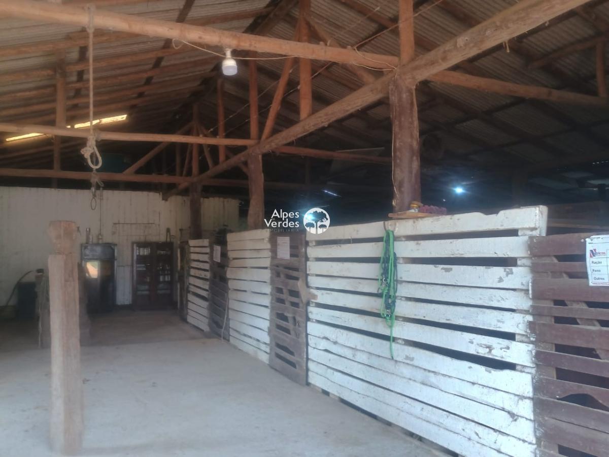 Sítio à venda com 2 quartos - Foto 7