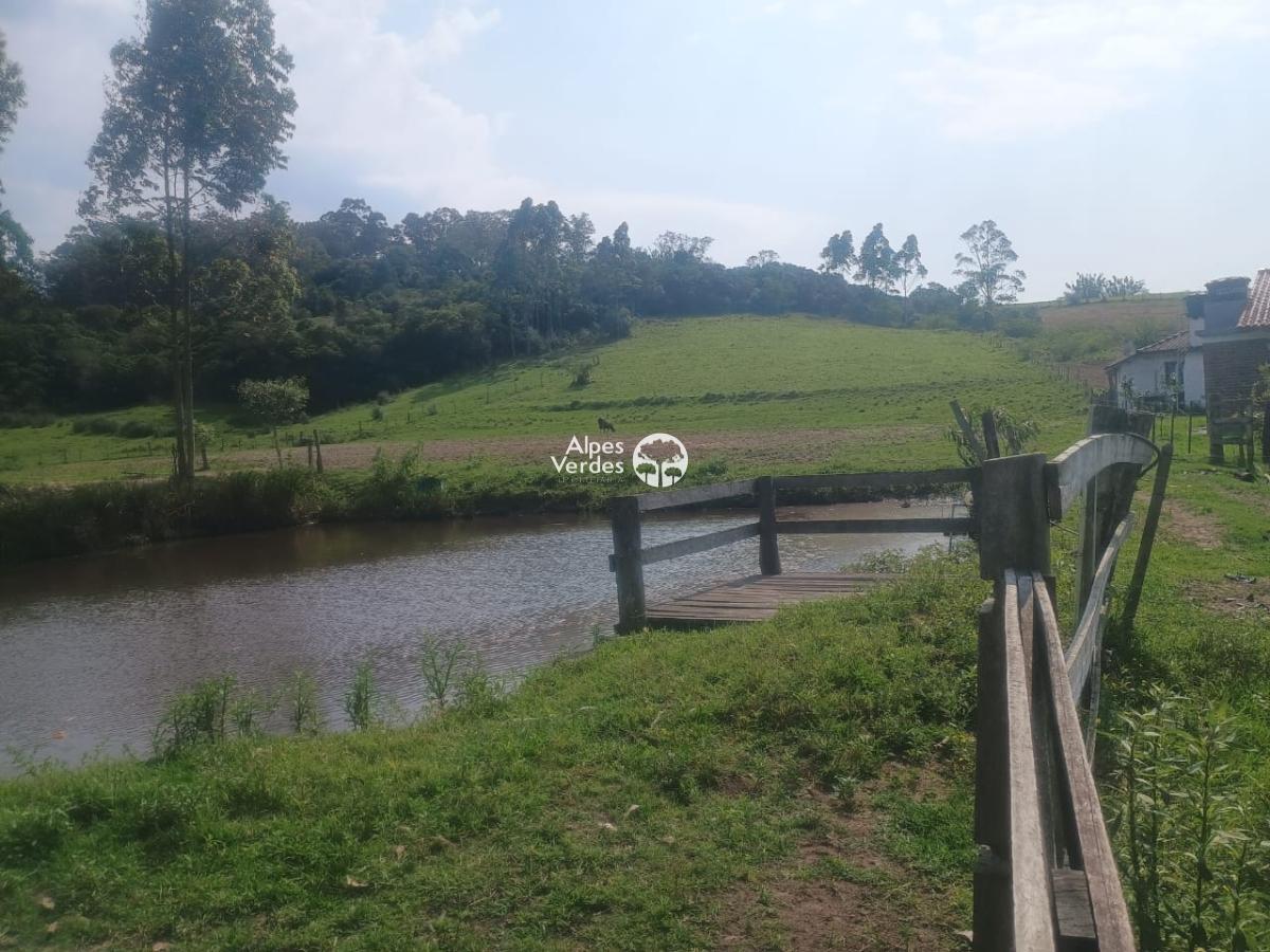 Sítio à venda com 2 quartos - Foto 9