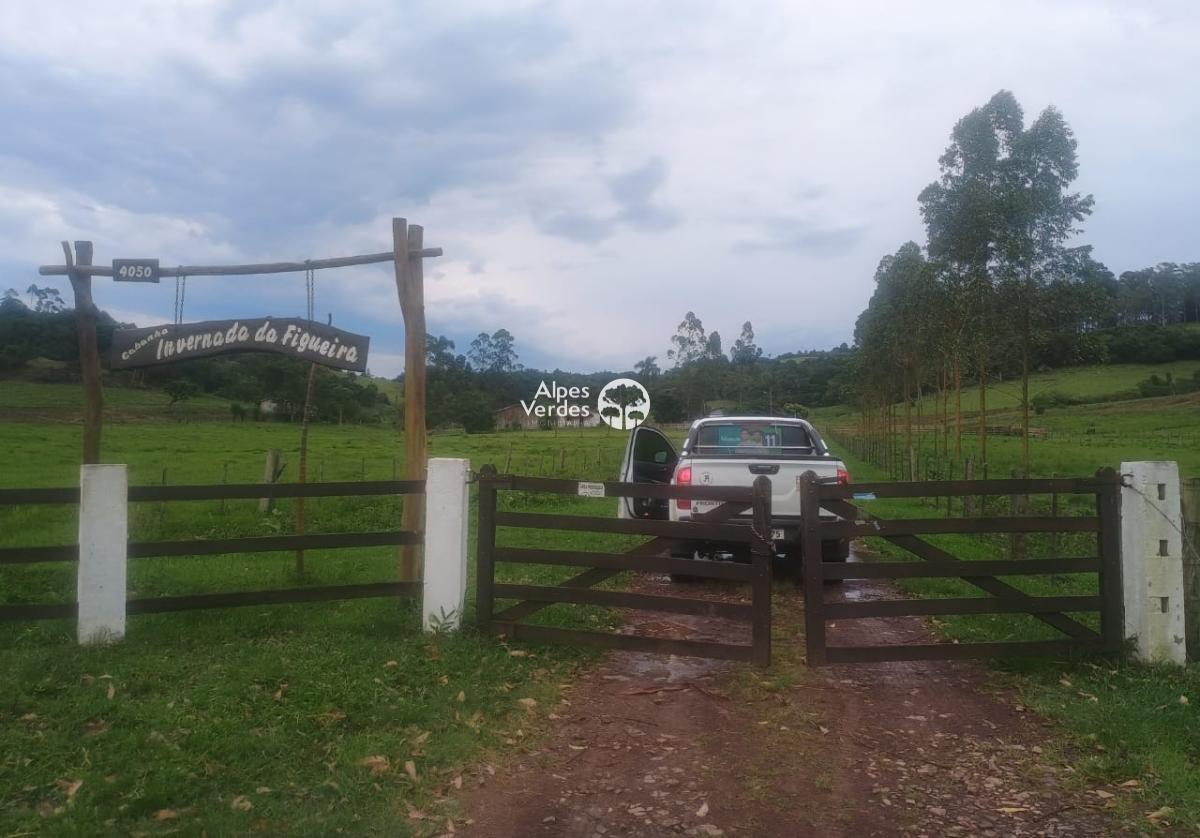 Sítio à venda com 2 quartos - Foto 1