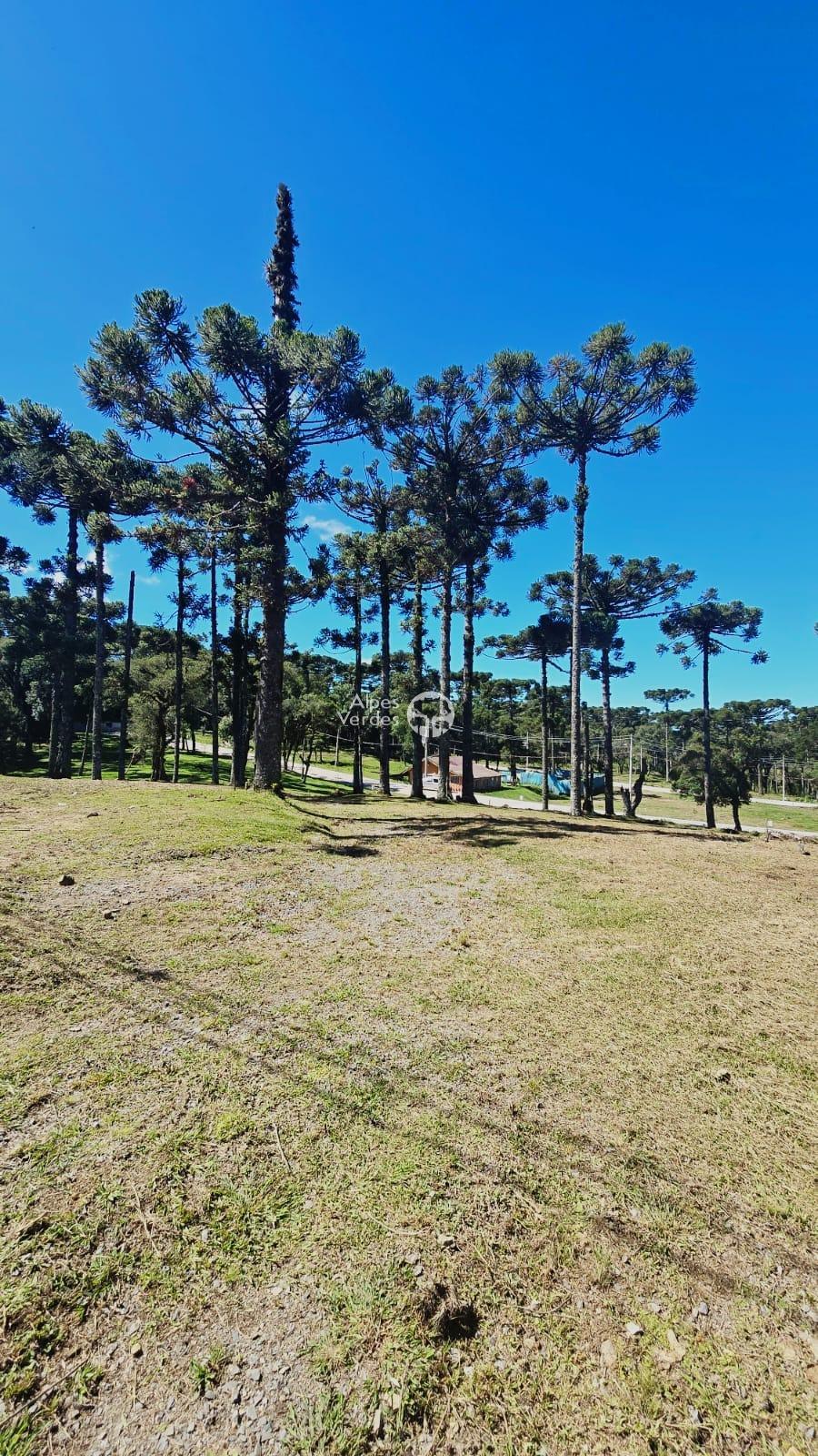 VENDE-SE TERRENO LOTEAMENTO JARDIM DO FAROL EM CANELA