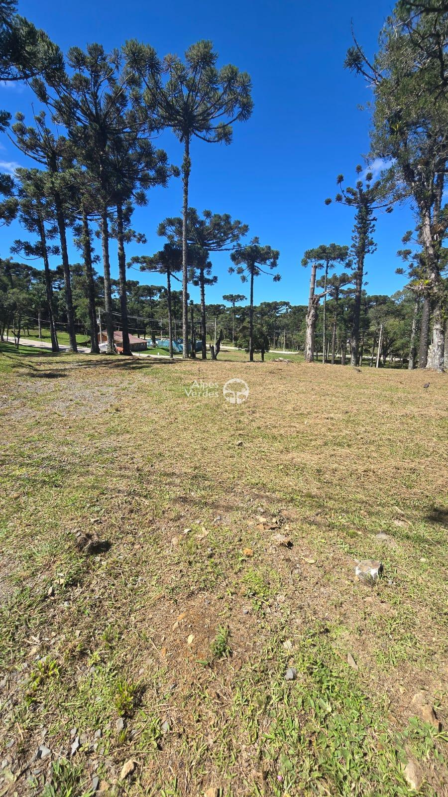 VENDE-SE TERRENO LOTEAMENTO JARDIM DO FAROL EM CANELA